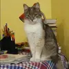 Отзыв от Дина Емельянова